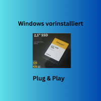 SSD Festplatte Intenso 120GB windows 10 Pro vorinstalliert