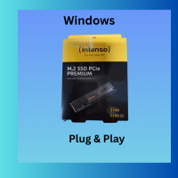 SSD Festplatte Intenso Nvme 250GB windows 10 Pro...